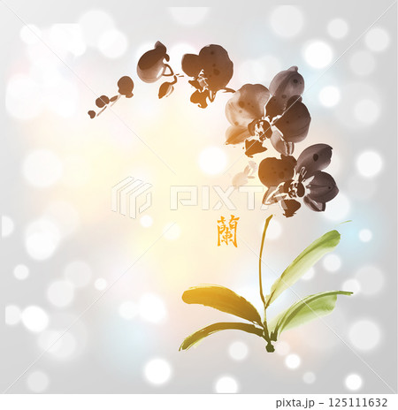 Minimalist ink wash painting with elegant black phalaenopsis orchid on white shimmering background. Traditional oriental ink painting sumi-e, u-sin, go-hua. Translation of hieroglyph - orchid Minimalist ink wash painting with elegant black phalaenopsis orchid on white shimmering background. Traditional oriental ink painting sumi-e, u-sin, go-hua. Translation of hieroglyph - orchid 125111632