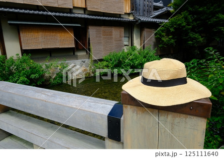 白川辰巳橋の夏のイメージ 125111640