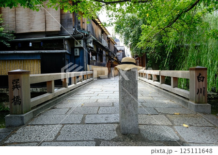 白川辰巳橋の夏のイメージ 白川辰巳橋の夏のイメージ 125111648