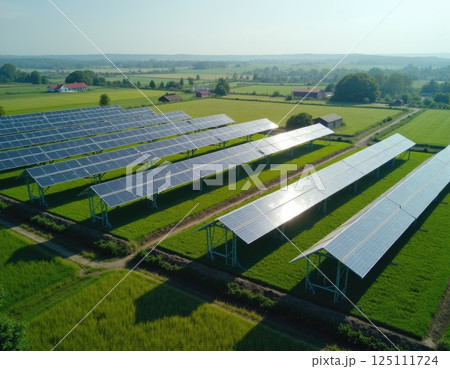 Endless rows of solar panels stretch in green fields under a bright blue sky, harnessing clean energy from the sun. A powerful symbol of sustainable technology and green future. 125111724