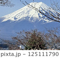春の富士山 125111790