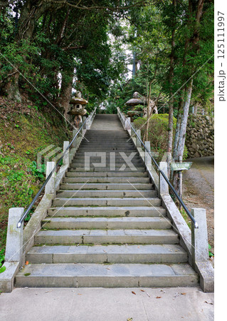 〈島根県〉玉作湯神社 本殿への階段 〈島根県〉玉作湯神社 本殿への階段 125111997