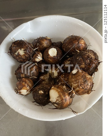 市民農園の里芋 市民農園の里芋 125112114