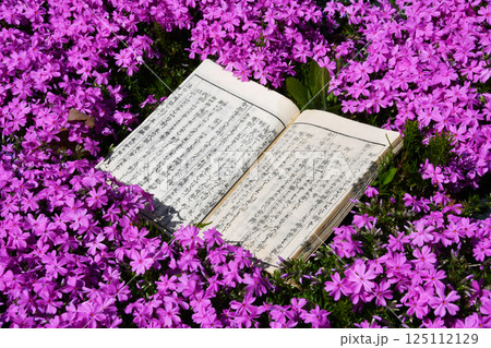 古文書と紫の花_04 125112129