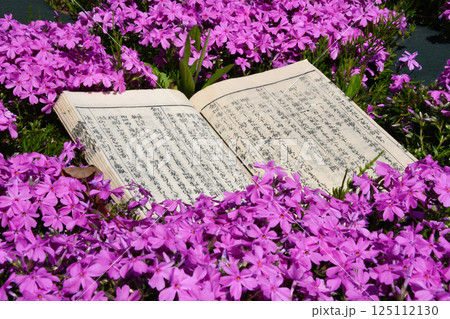 古文書と紫の花_05 古文書と紫の花_05 125112130