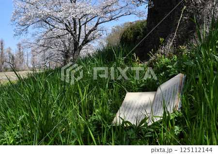 古文書と桜_04 125112144