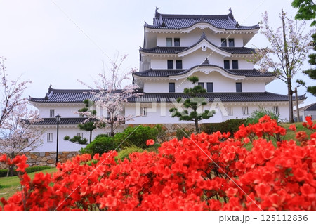 尼崎城(兵庫県尼崎市)に咲くヤマツツジ 尼崎城(兵庫県尼崎市)に咲くヤマツツジ 125112836
