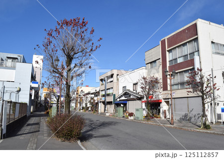 埼玉県狭山市 新狭山駅北口周辺の街並み 125112857