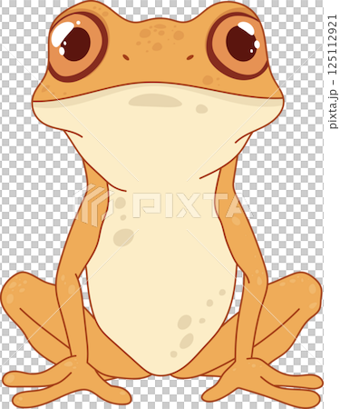 Illustration of a tan frog with big eyes, sitting with its legs spread, displaying its light-colored belly against a black background. 125112921