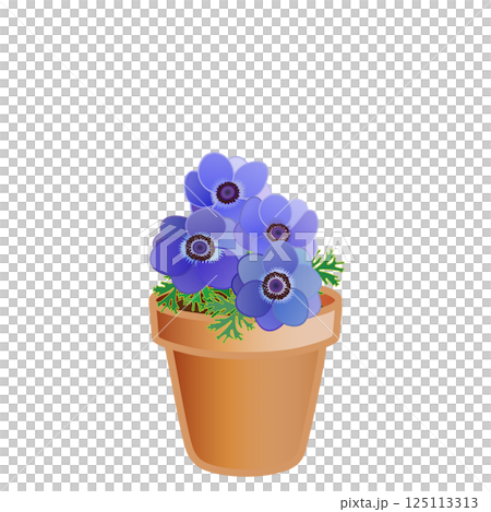 銀蓮花花盆插圖 125113313