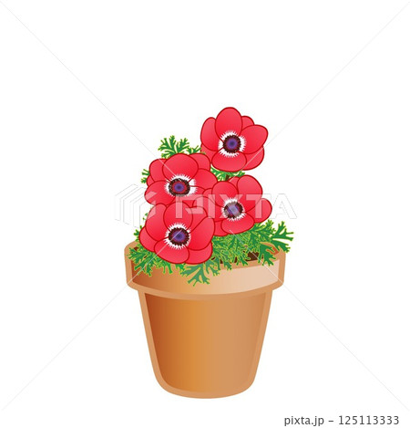 アネモネの植木鉢イラスト アネモネの植木鉢イラスト 125113333