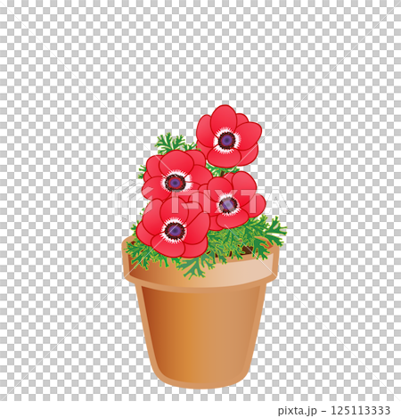 アネモネの植木鉢イラスト アネモネの植木鉢イラスト 125113333