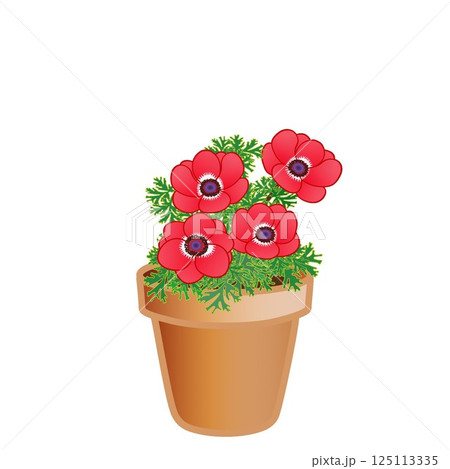 アネモネの植木鉢イラスト アネモネの植木鉢イラスト 125113335