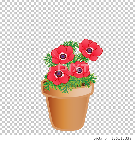 アネモネの植木鉢イラスト アネモネの植木鉢イラスト 125113335
