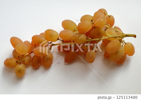 A delicious bunch of amber grapes. 125113480