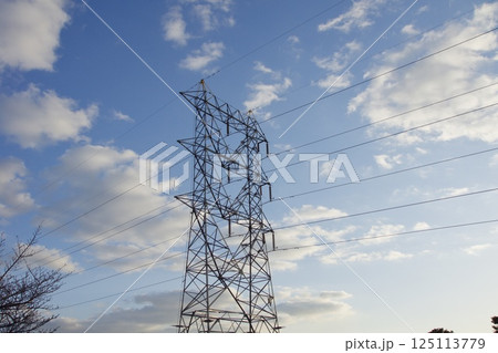 種松山公園西園地　ロウバイの季節　夕景　 125113779