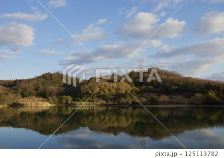 種松山公園西園地 ロウバイの季節 夕景 種松山公園西園地 ロウバイの季節 夕景 125113782