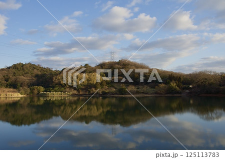 種松山公園西園地　ロウバイの季節　夕景　 125113783