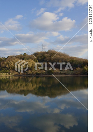 種松山公園西園地　ロウバイの季節　夕景　 125113784