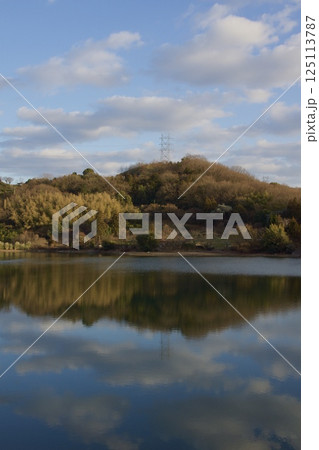 種松山公園西園地　ロウバイの季節　夕景　 125113787