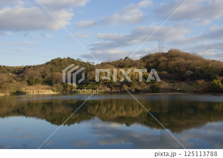 種松山公園西園地　ロウバイの季節　夕景　 125113788