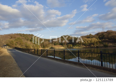 種松山公園西園地 ロウバイの季節 夕景  種松山公園西園地 ロウバイの季節 夕景  125113789