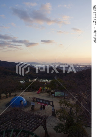 種松山公園西園地 ロウバイの季節 夕景 種松山公園西園地 ロウバイの季節 夕景 125113806