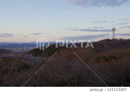 種松山公園西園地 ロウバイの季節 夕景 種松山公園西園地 ロウバイの季節 夕景 125113807