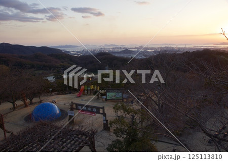 種松山公園西園地 ロウバイの季節 夕景 種松山公園西園地 ロウバイの季節 夕景 125113810