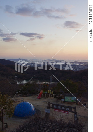 種松山公園西園地　ロウバイの季節　夕景　 125113814