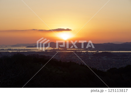 種松山公園西園地 ロウバイの季節 夕景 種松山公園西園地 ロウバイの季節 夕景 125113817