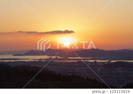 種松山公園西園地　ロウバイの季節　夕景　 125113819