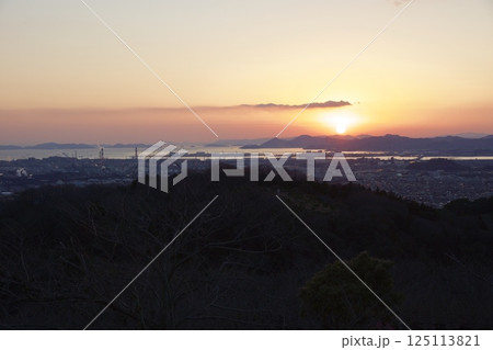 種松山公園西園地 ロウバイの季節 夕景 種松山公園西園地 ロウバイの季節 夕景 125113821