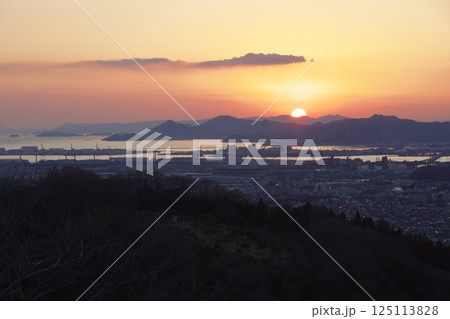 種松山公園西園地 ロウバイの季節 夕景 種松山公園西園地 ロウバイの季節 夕景 125113828