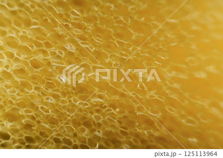 Domestic kitchen sponge under the microscope. Close up view Domestic kitchen sponge under the microscope. Close up view 125113964