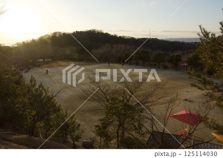 種松山公園西園地　夕景　ロウバイの季節　 125114030