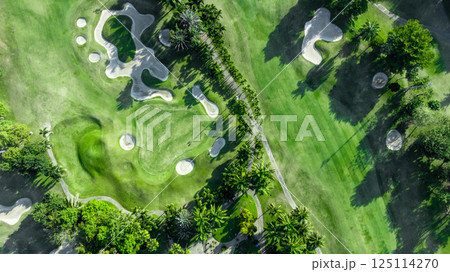 Top view golf course with lush greens, green fairway and sand bunker, Golf course green grass and trees fairway and putting green, Beautiful golf course. Top view golf course with lush greens, green fairway and sand bunker, Golf course green grass and trees fairway and putting green, Beautiful golf course. 125114270