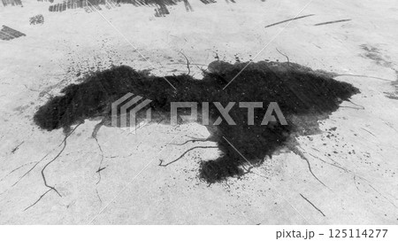 Top view black engine oil drop on concrete ground road, Stain of engine oil dripping on the ground street road, Texture and backgruond engine oil drop on floor, Automobile garage. Top view black engine oil drop on concrete ground road, Stain of engine oil dripping on the ground street road, Texture and backgruond engine oil drop on floor, Automobile garage. 125114277