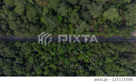 Aerial top view asphalt road in middle green forest road, Forest road in forest with car, Car drive on the road between green forest, travel freedom adventure in nature. 125115506
