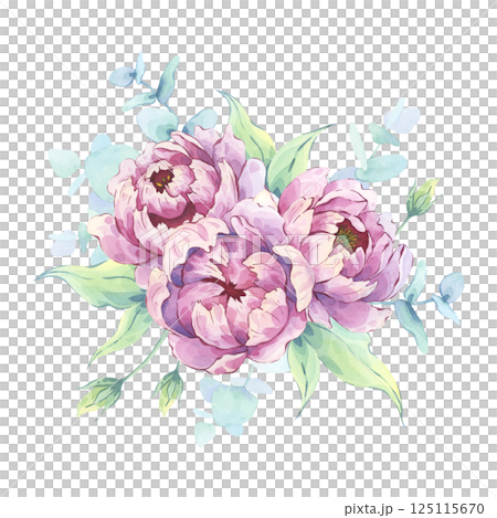 Peony floral arrangement with eucalyptus twigs. Hand-painted bouquet in watercolor illustrative technique. Great for greeting cards, scrapbooking, invitations, and seasonal decorations 125115670