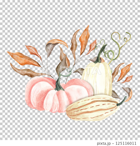 Watercolor hand drawn fall pumpkin arrangement, beautiful autumn decoration, isolated on white background. Watercolor white, pink vegetables with yellow and orange dry leaves and tree branches. 125116011