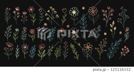 Hand-Drawn Set of Various Colorful Floral and Leaf Illustrations 125116152