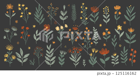 Spring crayon kid flower illustration with hand-drawn wildflowers 125116162