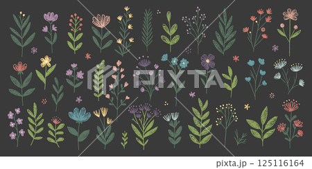 Hand-Drawn Set of Various Colorful Floral and Leaf Illustrations 125116164