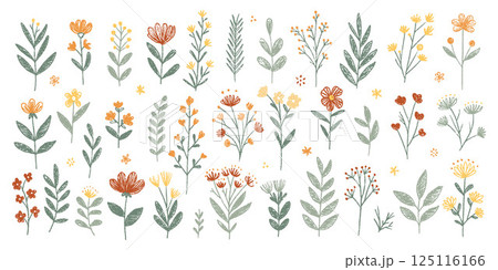 Spring crayon kid flower illustration with hand-drawn wildflowers 125116166