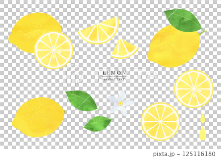 水彩風格檸檬插畫素材集 水彩風格檸檬插畫素材集 125116180