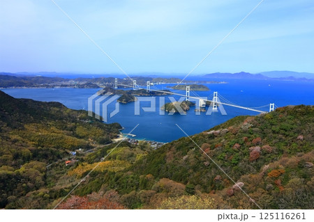 【愛媛県】桜咲く春の亀老山展望台から眺めた来島海峡大橋（しまなみ海道） 125116261