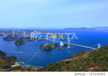 【愛媛県】桜咲く春の亀老山展望台から眺めた来島海峡大橋(しまなみ海道) 【愛媛県】桜咲く春の亀老山展望台から眺めた来島海峡大橋(しまなみ海道) 125116263