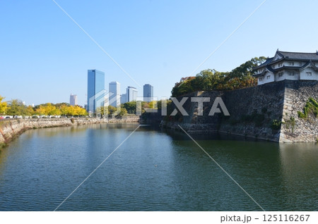 大阪城の「乾櫓」(大阪府大阪市中央区大阪城) 大阪城の「乾櫓」(大阪府大阪市中央区大阪城) 125116267