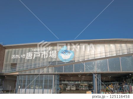 【下関市唐戸市場】 【下関市唐戸市場】 125116458